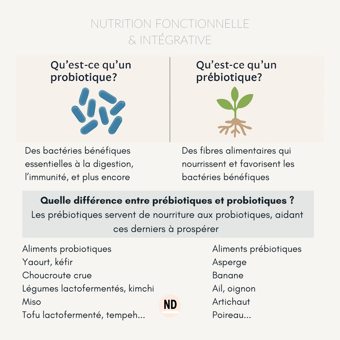 Probiotiques Et Prébiotiques Kenofor Pour Gaz Et Constipation - 400mg, 30/60/120 Gélules, Naturel, Sans OGM