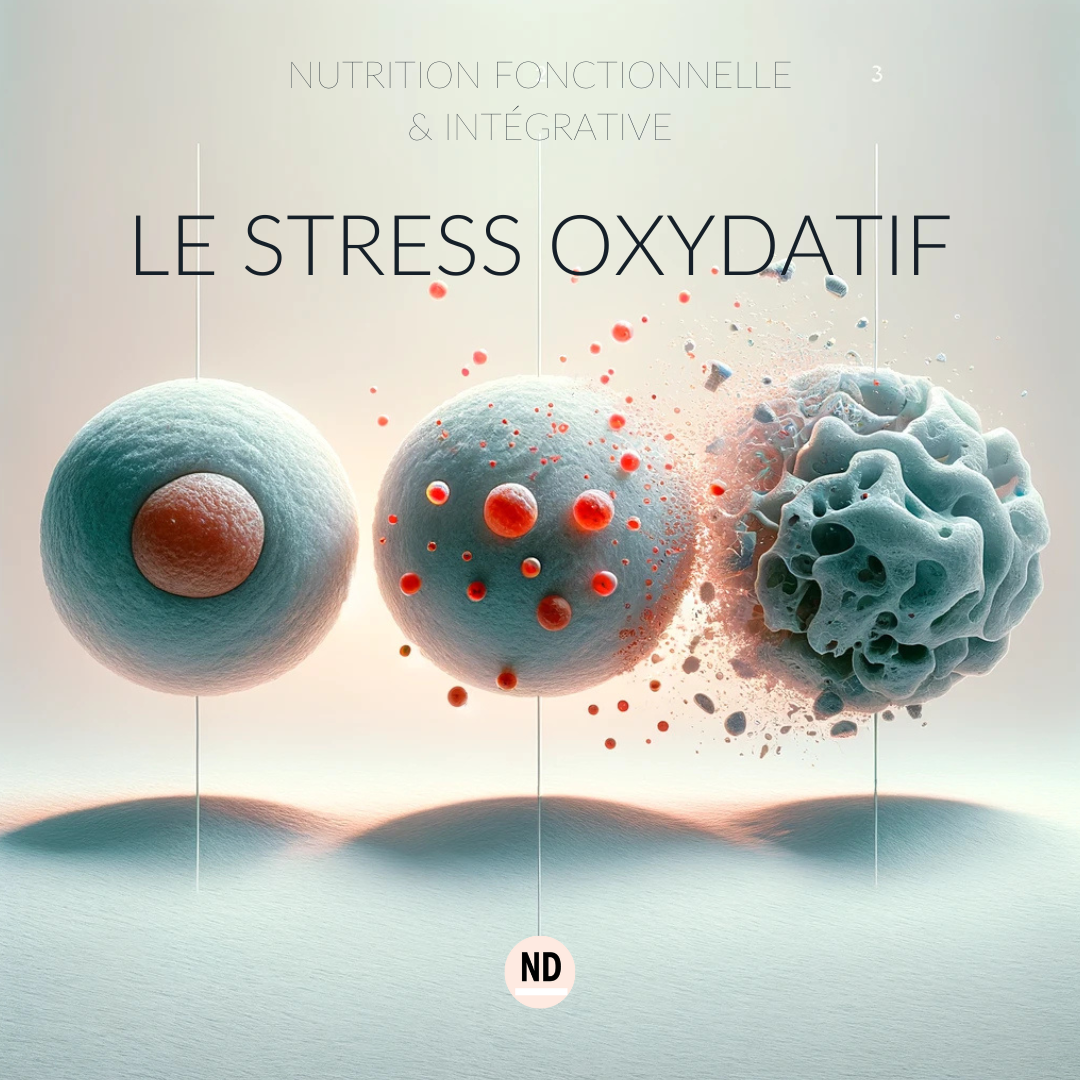Stress oxydatif comprendre, prévenir et agir efficacement Nathalie — free download